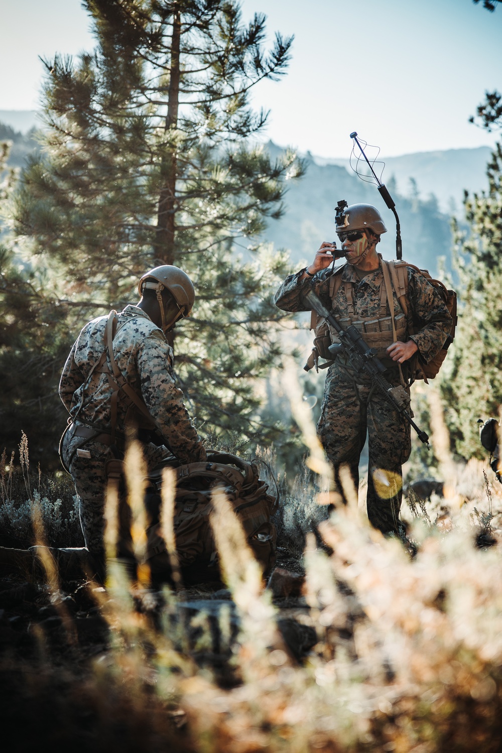 2/5 Marines, French 27th Mountain Infantry Brigade conduct simulated cliff assault during MTX 1-24