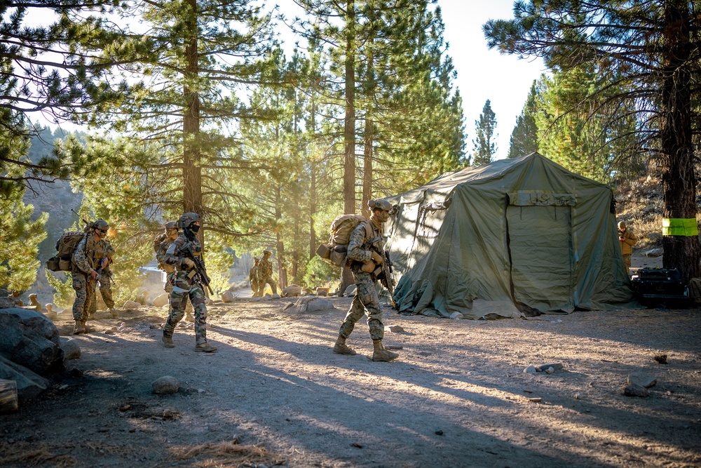 2/5 Marines, French 27th Mountain Infantry Brigade conduct simulated cliff assault during MTX 1-24