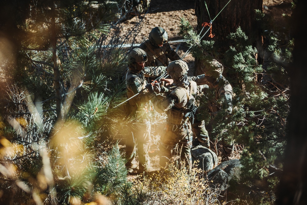 2/5 Marines, French 27th Mountain Infantry Brigade conduct simulated cliff assault during MTX 1-24