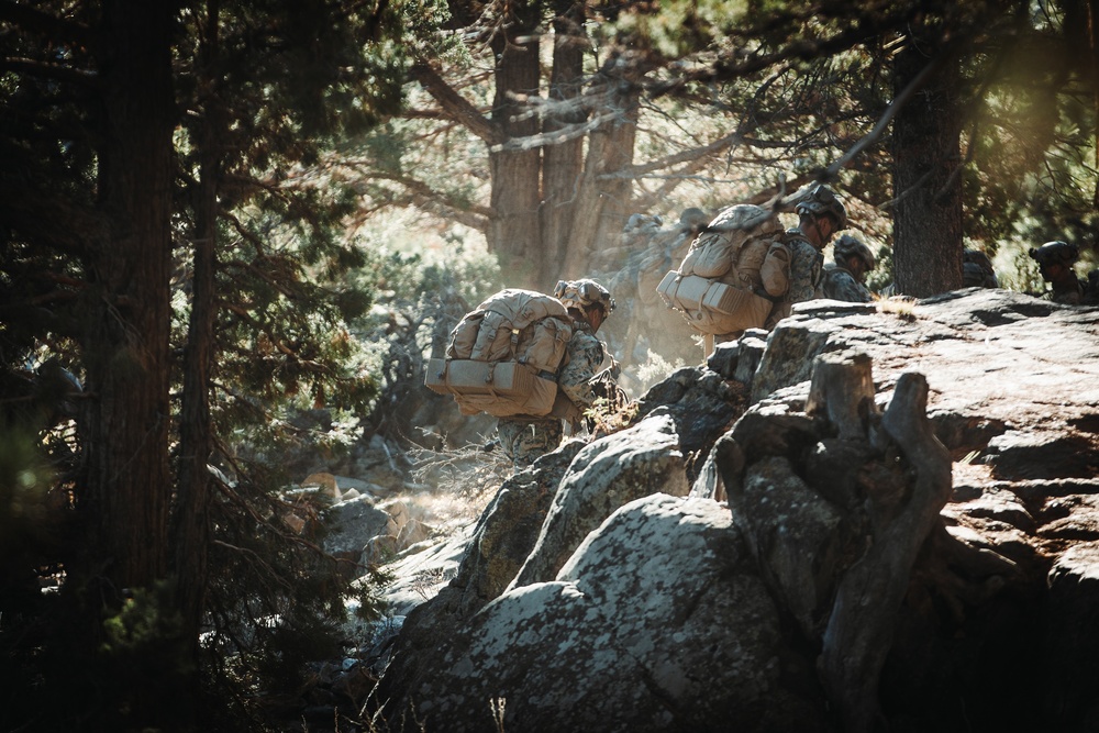 2/5 Marines, French 27th Mountain Infantry Brigade conduct simulated cliff assault during MTX 1-24