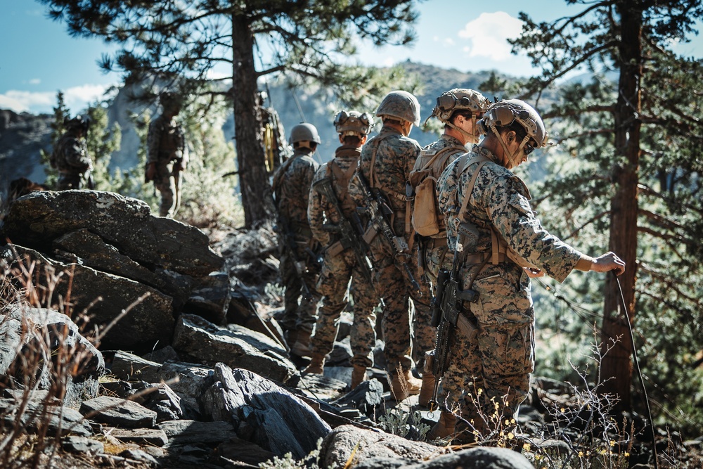 2/5 Marines, French 27th Mountain Infantry Brigade conduct simulated cliff assault during MTX 1-24