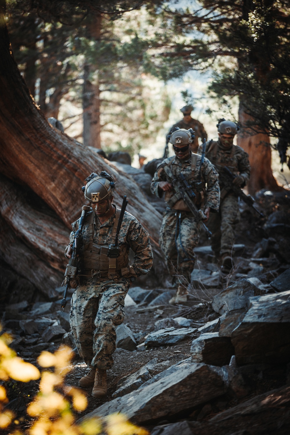 2/5 Marines, French 27th Mountain Infantry Brigade conduct simulated cliff assault during MTX 1-24