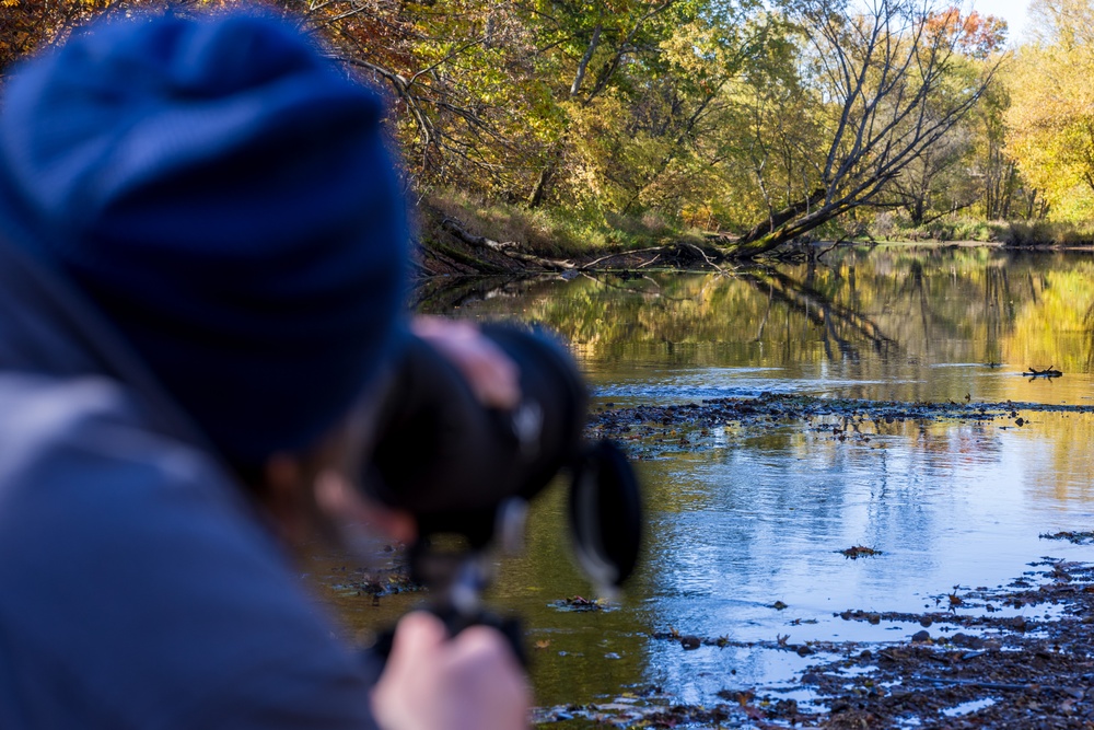 USACE Pittsburgh District begins surveys for sandhill cranes at Shenango River Lake Recreation Area