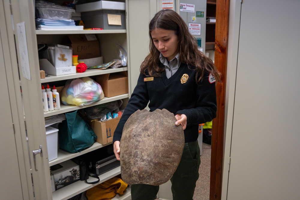 Park Rangers at Shenango River Lake manage a myriad of natural resources