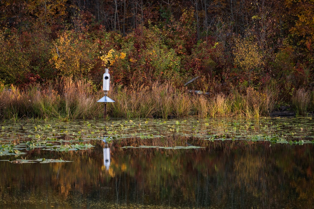 Park Rangers at Shenango River Lake manage a myriad of natural resources