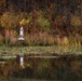 Park Rangers at Shenango River Lake manage a myriad of natural resources