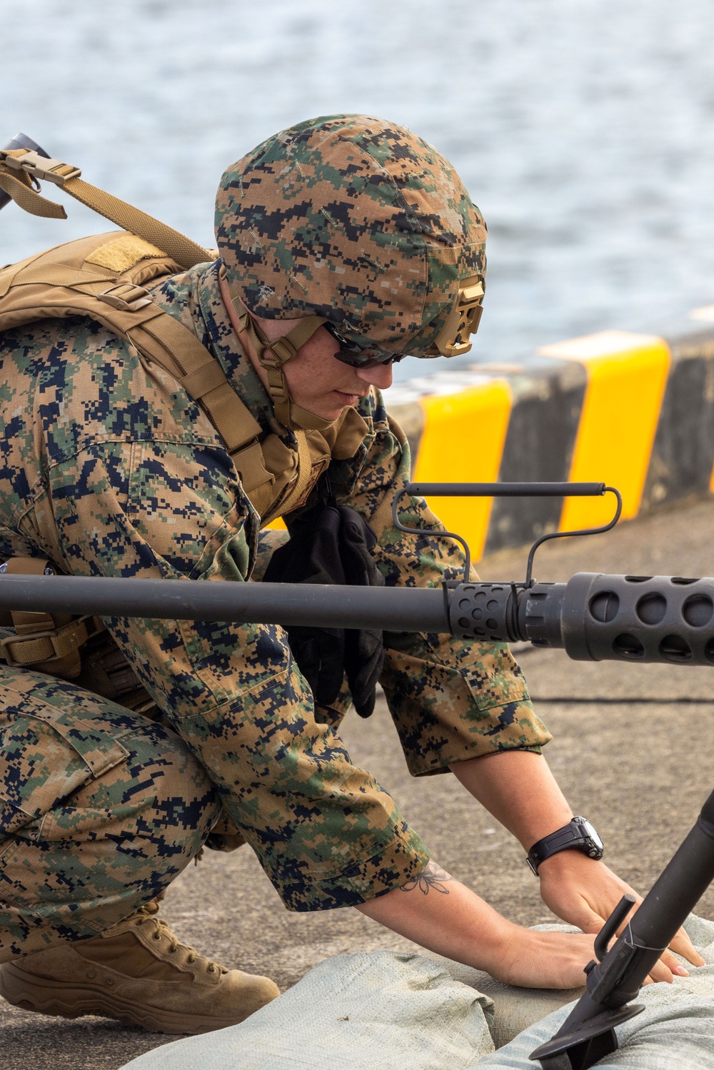 Active Shield 2023: U.S. Marines and Sailors prepare for a simulated attack