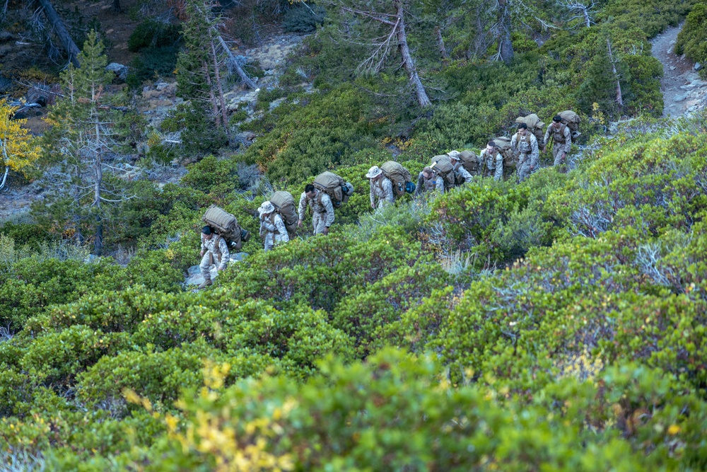 U.S. Marines, Sailors, and Forest Service personnel work to recover a downed U.S. Navy MH-60S Seahawk