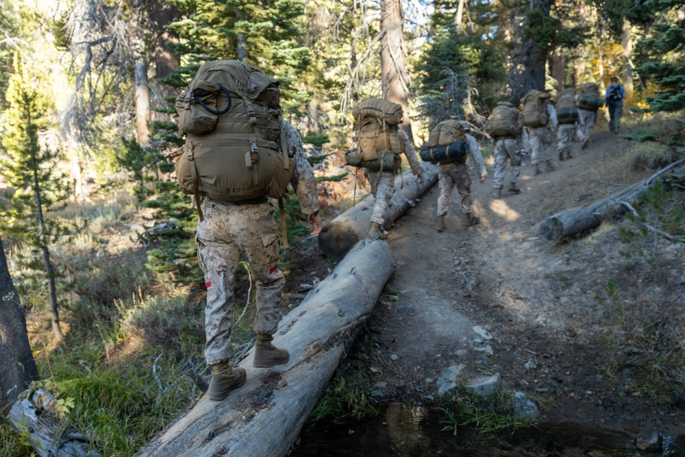 U.S. Marines, Sailors, and Forest Service personnel work to recover a downed U.S. Navy MH-60S Seahawk