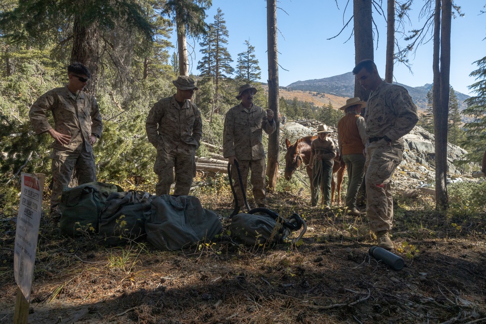 U.S. Marines, Sailors, and Forest Service personnel work to recover a downed U.S. Navy MH-60S Seahawk