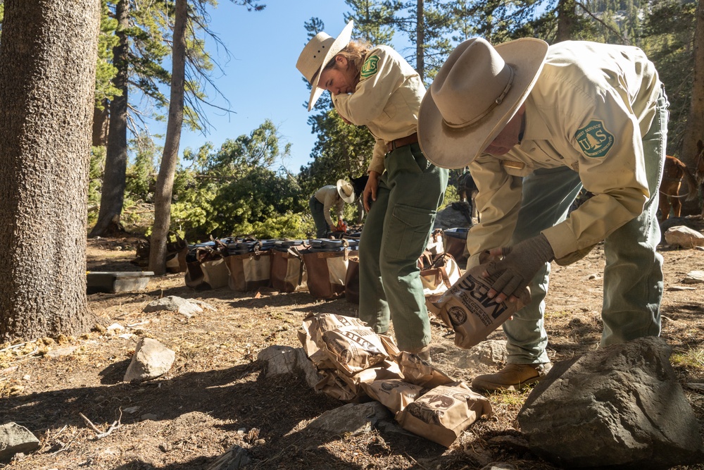 U.S. Marines, Sailors, and Forest Service personnel work to recover a downed U.S. Navy MH-60S Seahawk