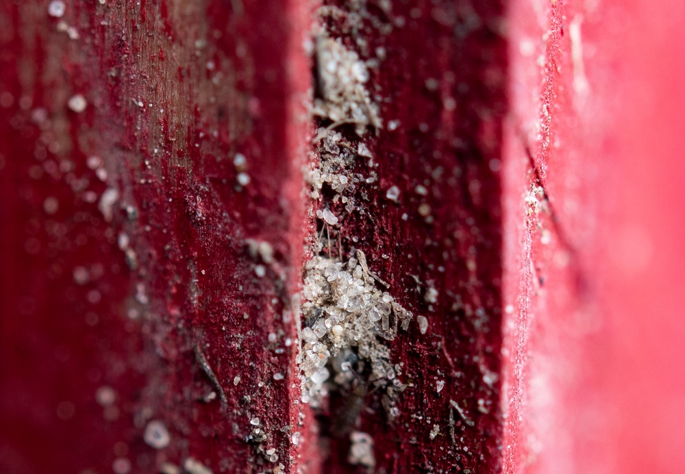 Attention To Detail 24-1DE