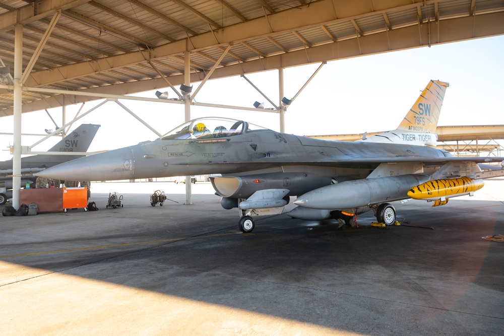 79th Fighter Squadron maintains air superiority with modified training