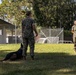 MCAS Beaufort Military Working Dog Training