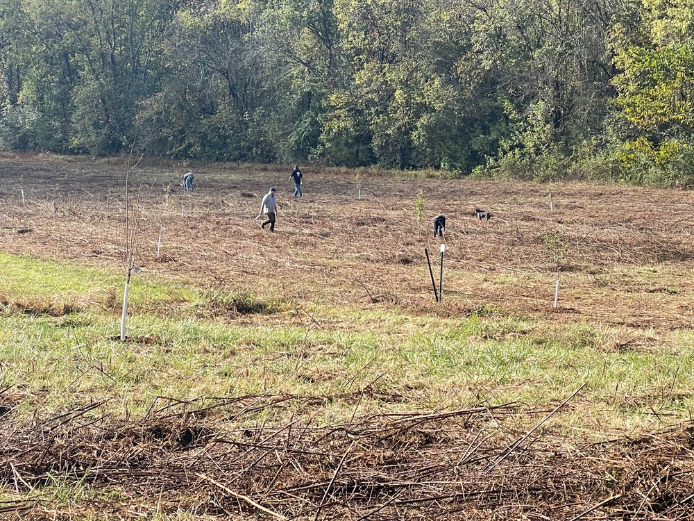 Volunteers sow the seeds of conservation on Gainesboro Tree Planting Day