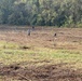Volunteers sow the seeds of conservation on Gainesboro Tree Planting Day