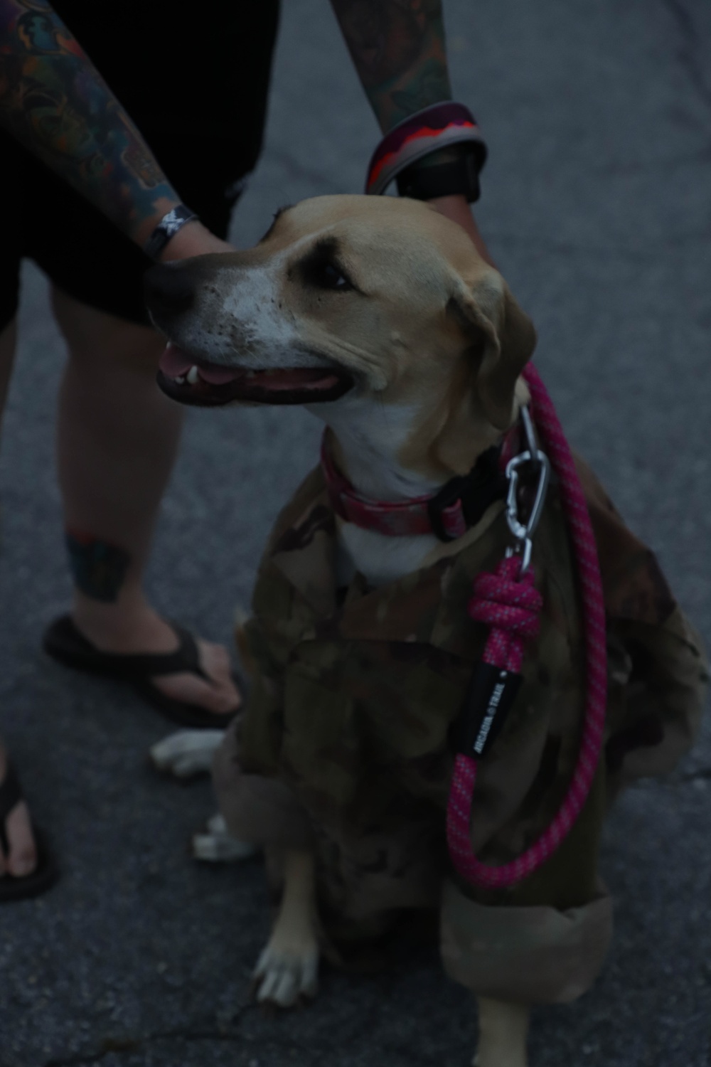 Religious Services Office Throws a Trunk-or-Treat for Fort Stewart Soldiers and Family Members