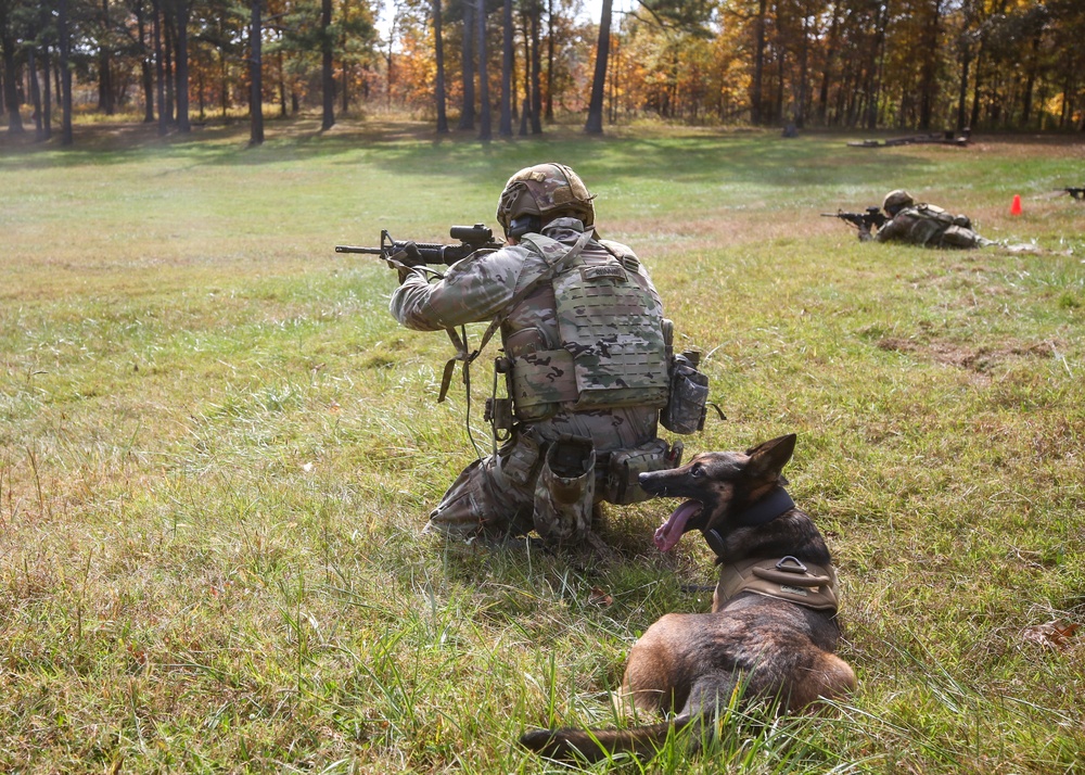 510th MP Det conducts live fire training with MWD's