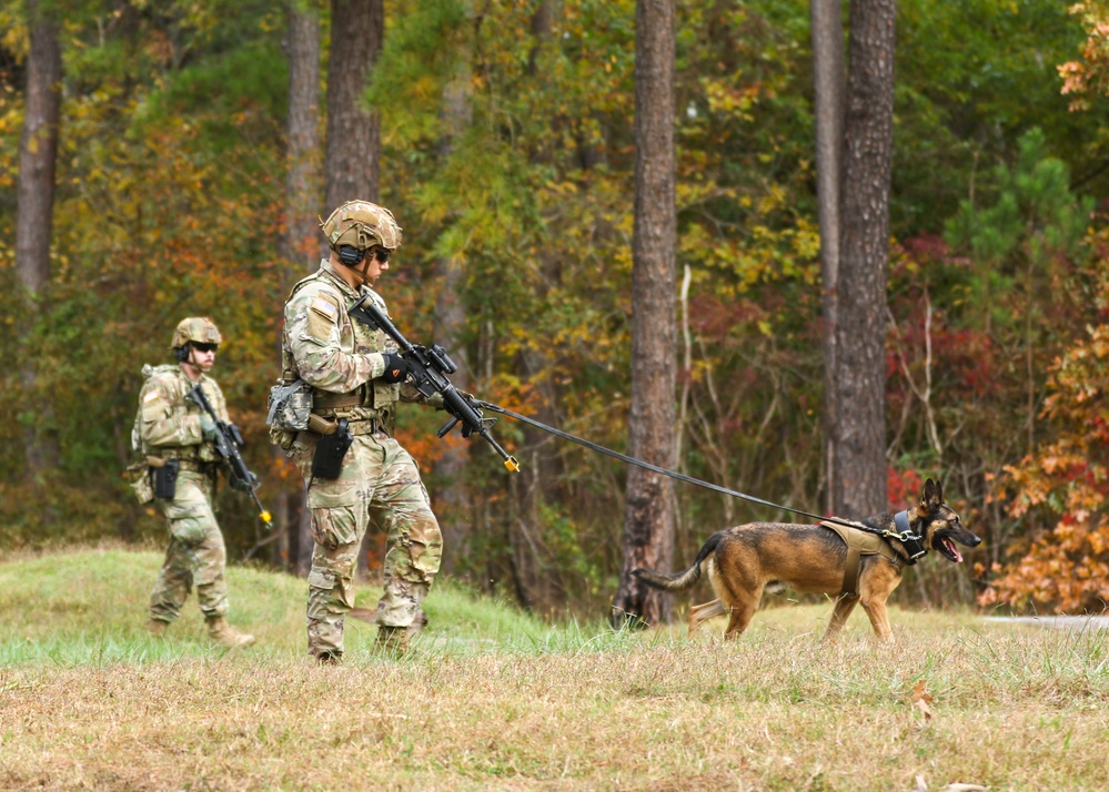 510th MP Det Conducts Live Fire Training with MWD's