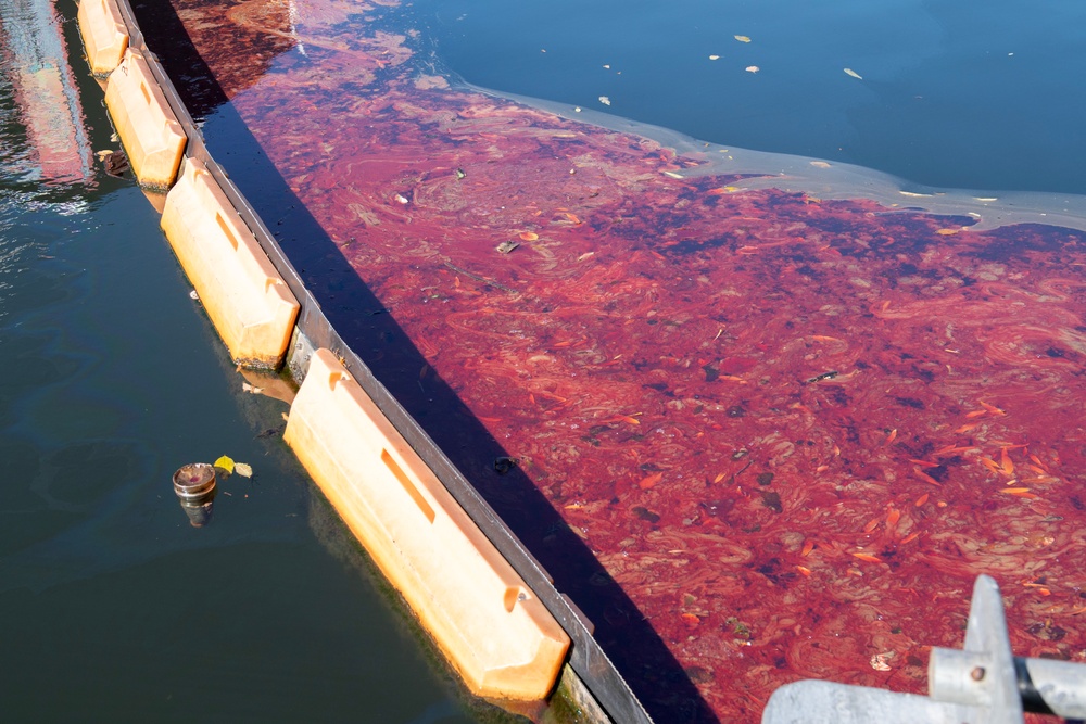 Coast Guard, partner agencies respond to fuel spill in Baltimore’s Inner Harbor