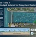 Buffalo Outer Harbor Wetland Ecosystem Project Poster