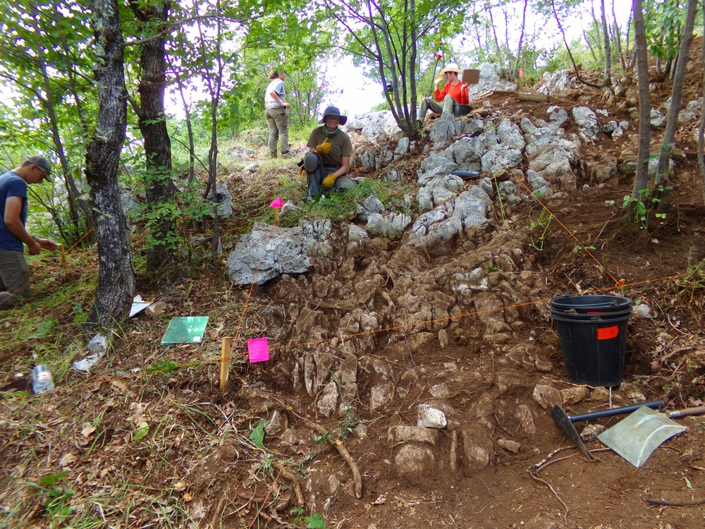 Defense POW/MIA Accounting Agency Partner performs Recovery Fieldwork in Croatia