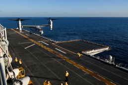 Boxer Flight Operations with MV-22B Osprey