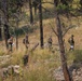 Green Berets Teach Tactical Skills to South Dakota National Guardsmen