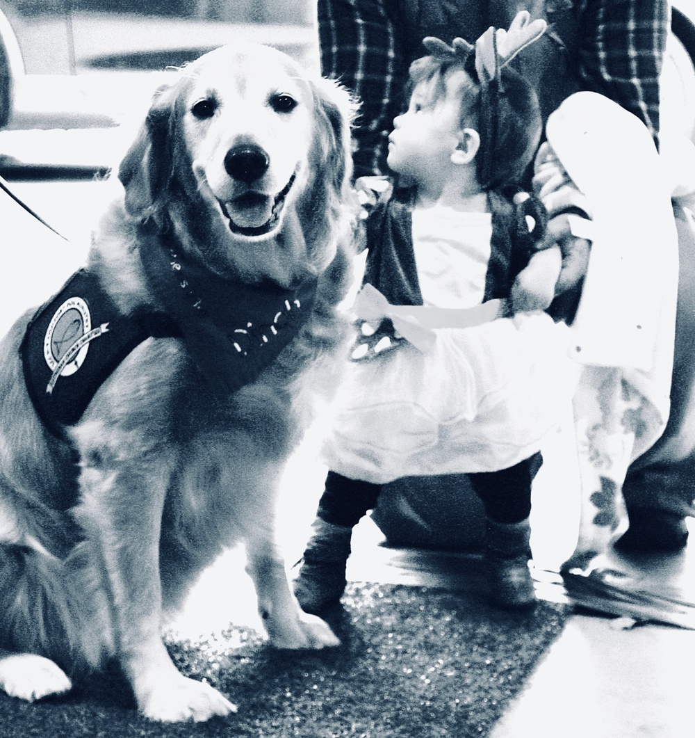 Illinois National Guard's Family Programs Hosts Trunk or Treats