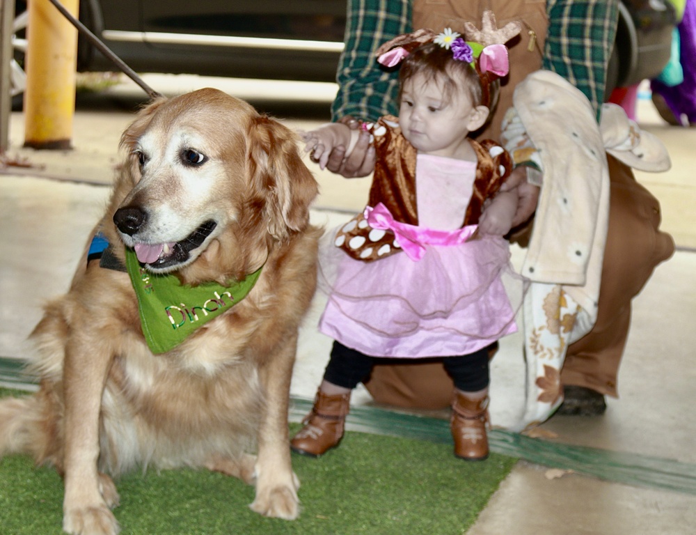 Illinois National Guard's Family Programs Hosts Trunk or Treats