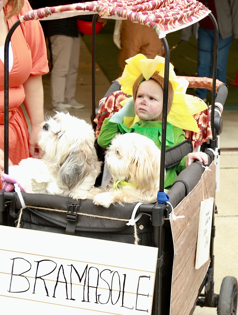 Illinois National Guard's Family Programs Hosts Trunk or Treats