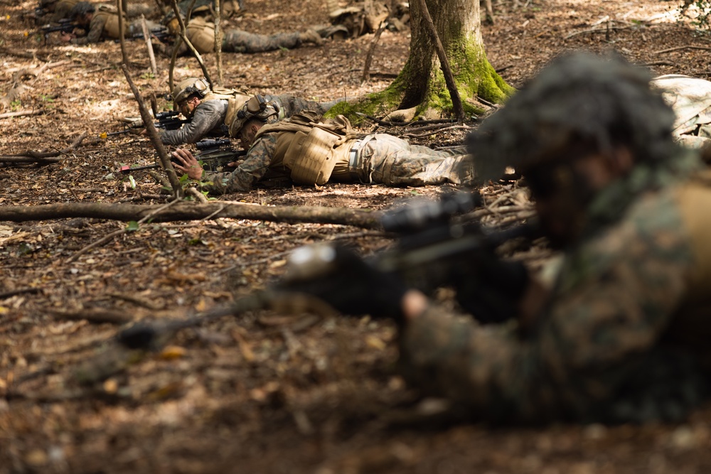 Resolute Dragon 23 | 2nd Marine Regiment Force-on-Force Training at Hijyudai