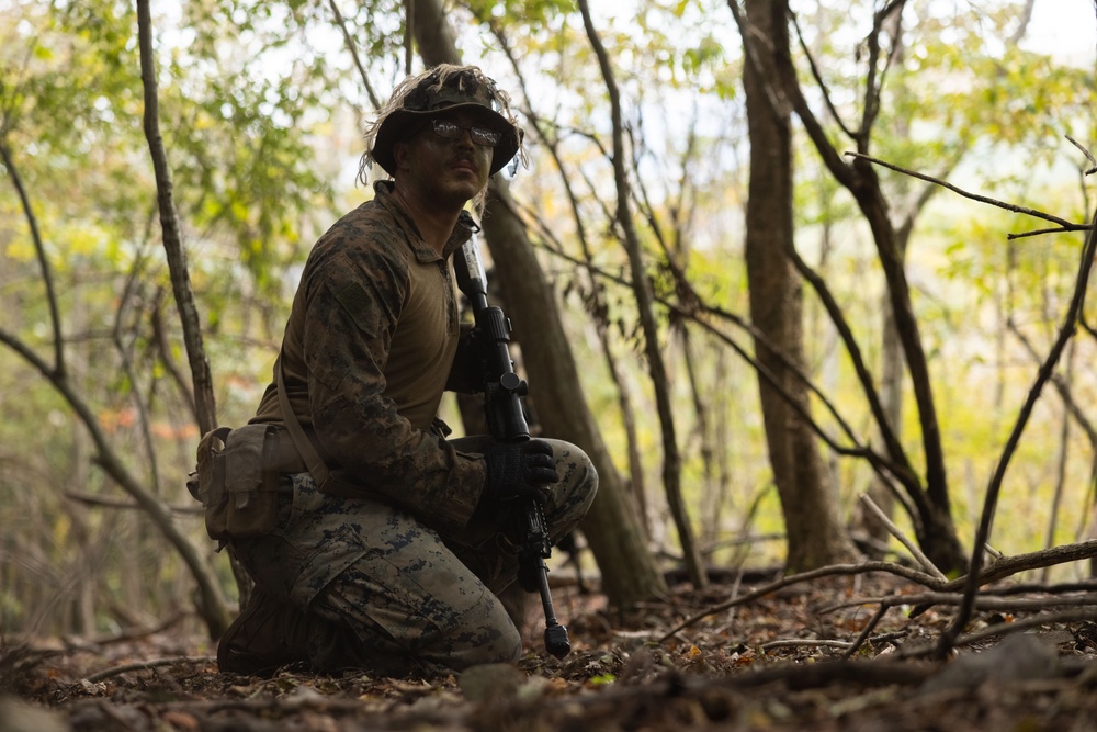 Resolute Dragon 23 | 2nd Marine Regiment Force-on-Force Training at Hijyudai