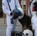 Military Working Dog team participates in annual Halloween Fall Festival and Resource Fair at NWS Yorktown