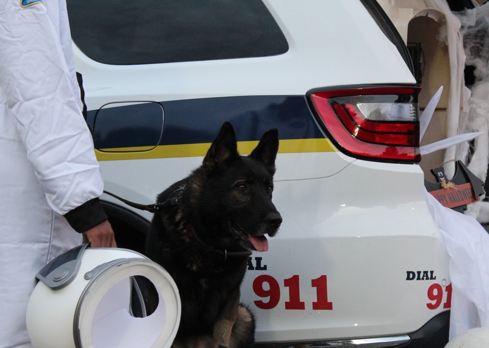 Military Working Dog team participates in annual Halloween Fall Festival and Resource Fair at NWS Yorktown