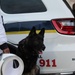 Military Working Dog team participates in annual Halloween Fall Festival and Resource Fair at NWS Yorktown