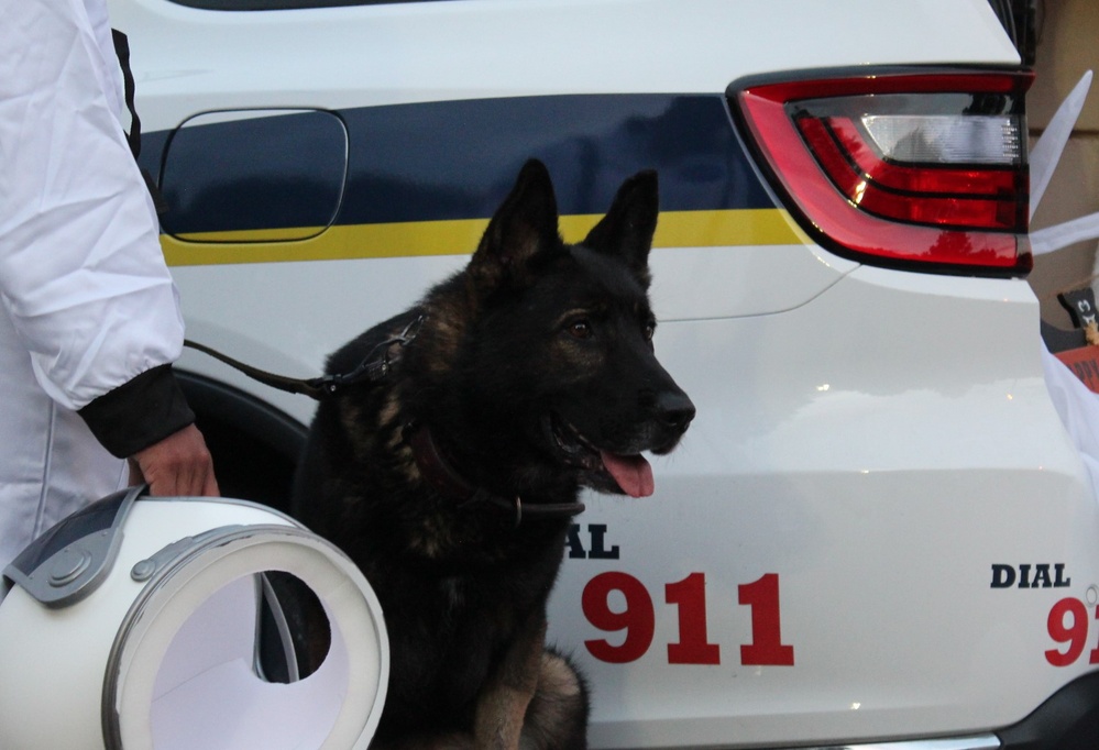 Military Working Dog team participates in annual Halloween Fall Festival and Resource Fair at NWS Yorktown