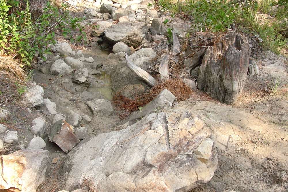 Digging deeper with Fort Johnson’s archaeology team