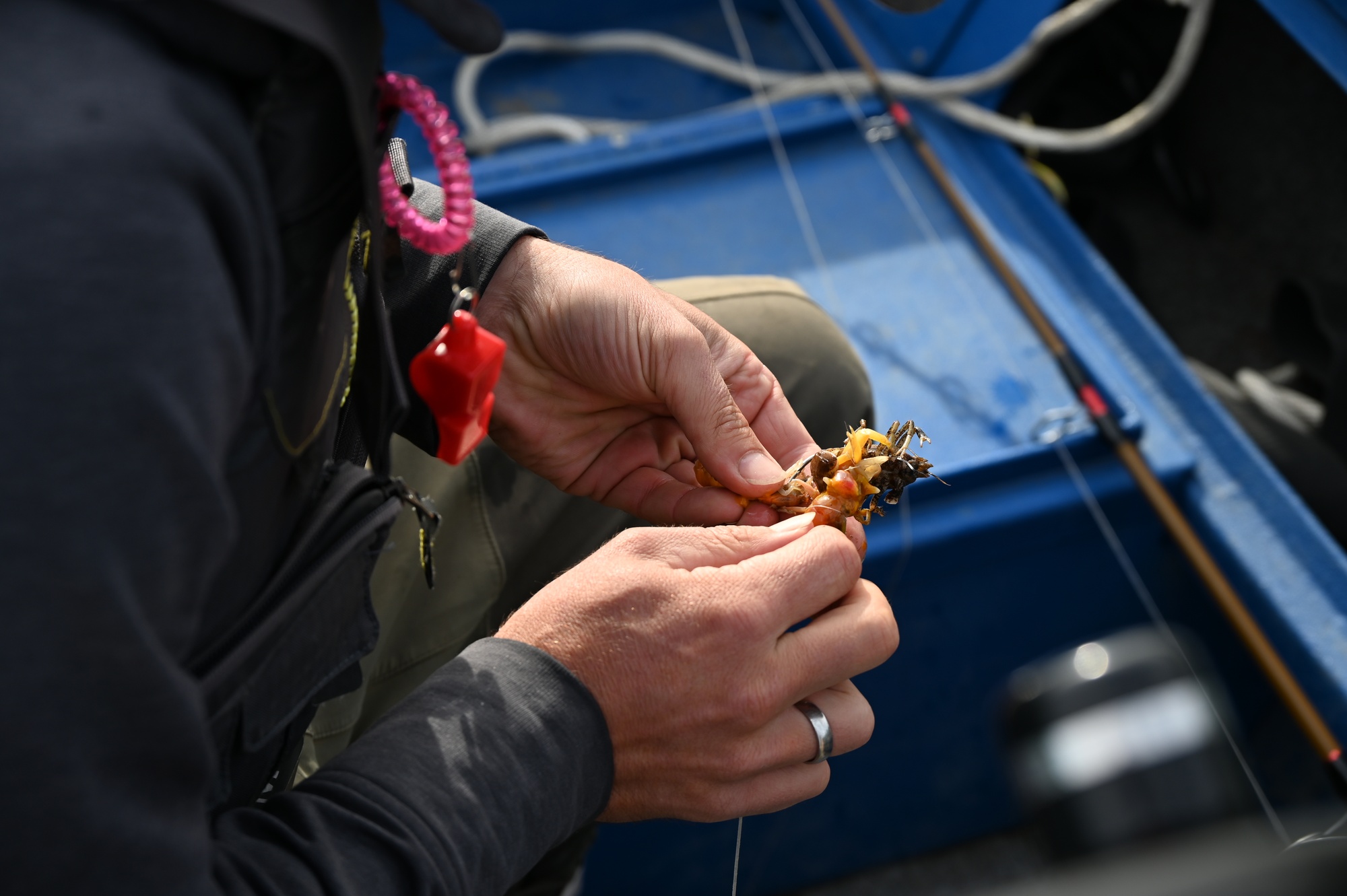 USACE fishes for data to help save Green Sturgeon