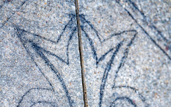 Sgt. Gil Paints ADSB Logo