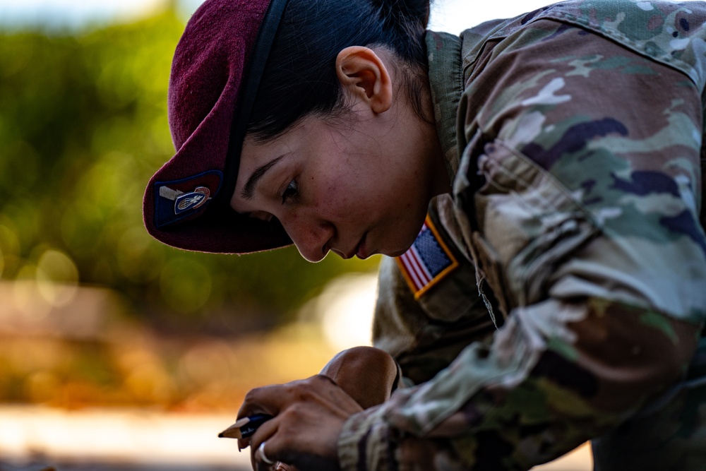 Sgt. Gil Paints ADSB Logo