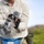 Pulling Wedgies: Tagging Wedge-tailed Shearwater Fledglings Ahead of Fallout Season