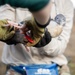 Pulling Wedgies: Tagging Wedge-tailed Shearwater Fledglings Ahead of Fallout Season