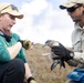 Pulling Wedgies: Tagging Wedge-tailed Shearwater Fledglings Ahead of Fallout Season