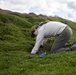 Pulling Wedgies: Tagging Wedge-tailed Shearwater Fledglings Ahead of Fallout Season