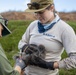 Pulling Wedgies: Tagging Wedge-tailed Shearwater Fledglings Ahead of Fallout Season