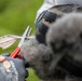 Pulling Wedgies: Tagging Wedge-tailed Shearwater Fledglings Ahead of Fallout Season