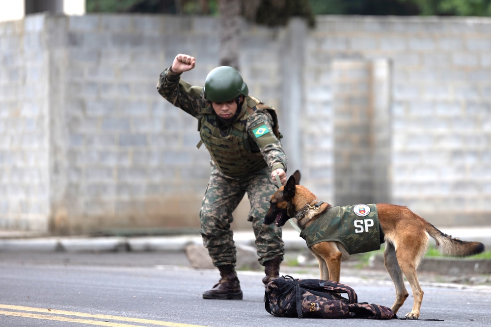 Brazilian Marine Corps demonstrates capabilities to Marines with U.S. Marine Corps Forces, South, during 2024 Operational Naval Infantry Committee