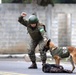 Brazilian Marine Corps demonstrates capabilities to Marines with U.S. Marine Corps Forces, South, during 2024 Operational Naval Infantry Committee