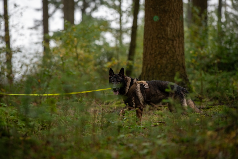 Spangdahlem SERE Prepares 1-214 GSAB for Survival Challenges